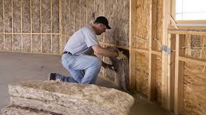 Best Wall Insulation Installation  in Walnut Grove, GA